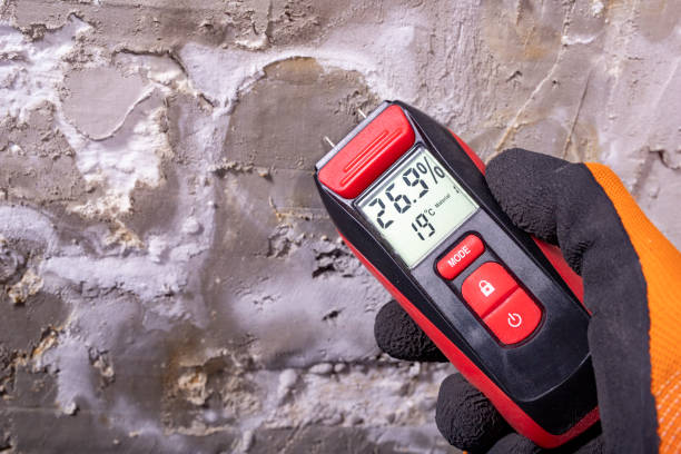 Trusted Forsyth, MT Mold Remediation Experts